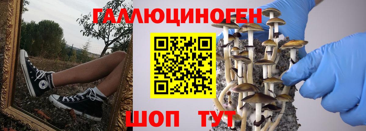 Псилоцибиновые грибы Magic Shrooms Избербаш