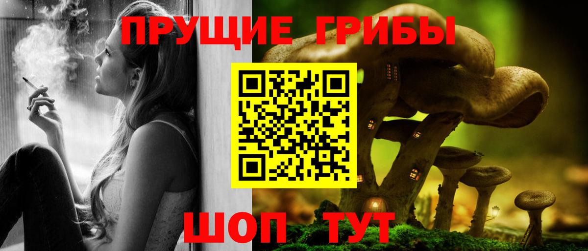Псилоцибиновые грибы GOLDEN TEACHER  Вход с VPN  Галлюциногенные грибы GOLDEN TEACHER  где можно купить   Избербаш 